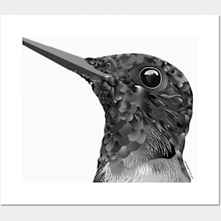 hummingbird Posters and Art